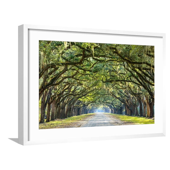 Art.com Savannah, Georgia, USA Oak Tree Lined Road at Historic Wormsloe Plantation. Photographic Print by SeanPavonePhoto, White Frame Wall Art, 29" x 21"