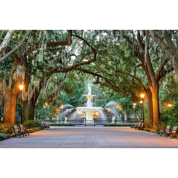 Art.com Savannah, Georgia, USA at Forsyth Park Fountain. Photographic Print by SeanPavonePhoto, 18" x 12"