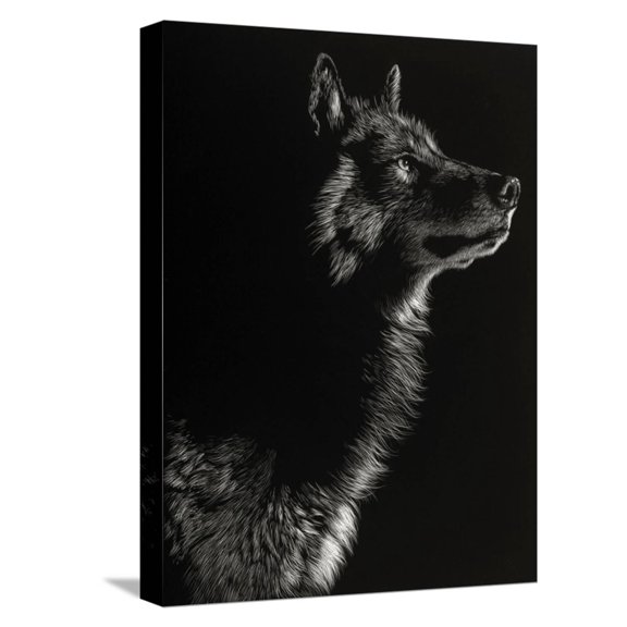 Art.com Scratchboard Wolf II Stretched Canvas Print Wall Art by Julie Chapman, 12" x 16"