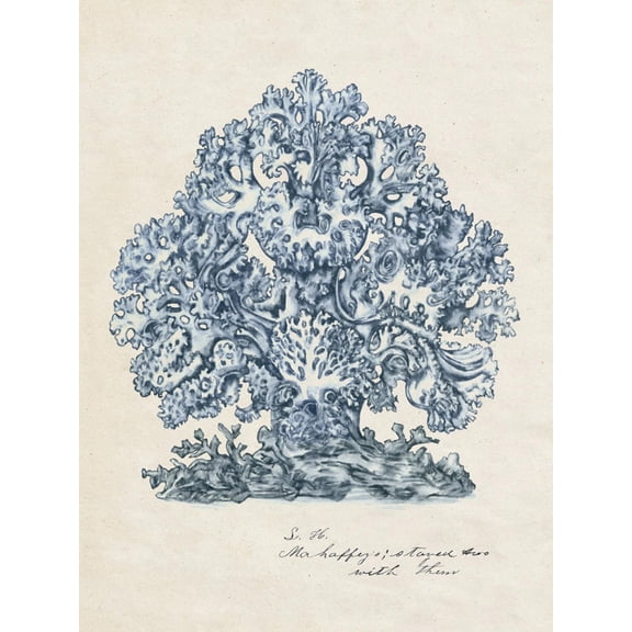 Art.com Sea Coral Study II Art Print, 18" x 24"