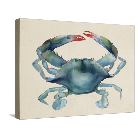 Art.com Sea Dweller III Stretched Canvas Print Wall Art by Grace Popp, 24" x 18"