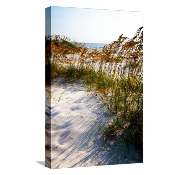 Art.com Sea Oats & Shadow II Stretched Canvas Print Wall Art by Alan Hausenflock, 12" x 18"