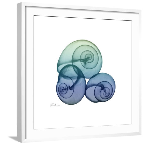 Art.com Sea Sky Snails Art Print by Albert Koetsier, White Frame Wall Art, 29" x 29"