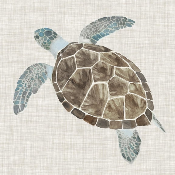 Art.com Sea Turtle II Art Print by Naomi McCavitt, 30" x 30"