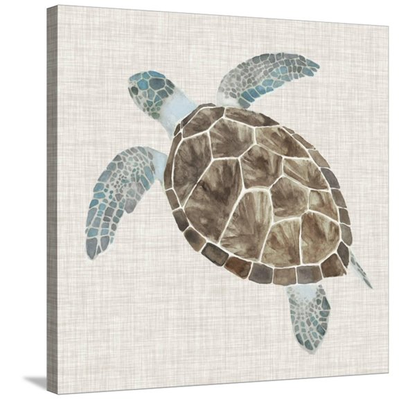 Art.com Sea Turtle II Stretched Canvas Print Wall Art by Naomi McCavitt, 30" x 30"