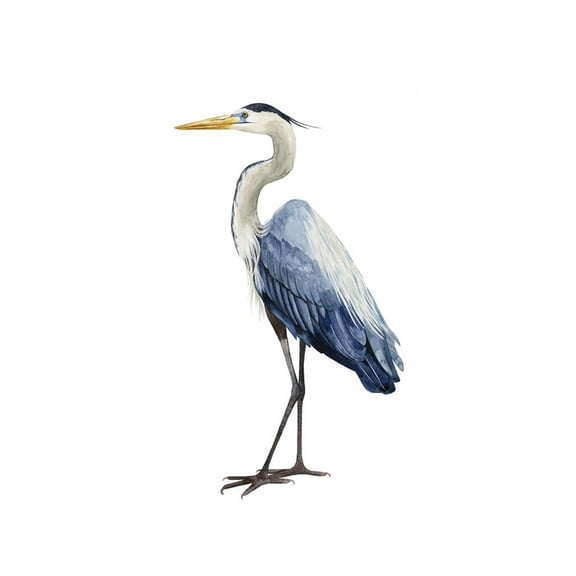 Art.com Seabird Heron I Art Print by Grace Popp, 12" x 18"