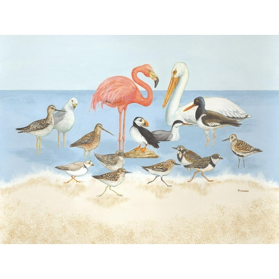 Art.com Seabird Summit Art Print by Wendy Russell, 16" x 12"
