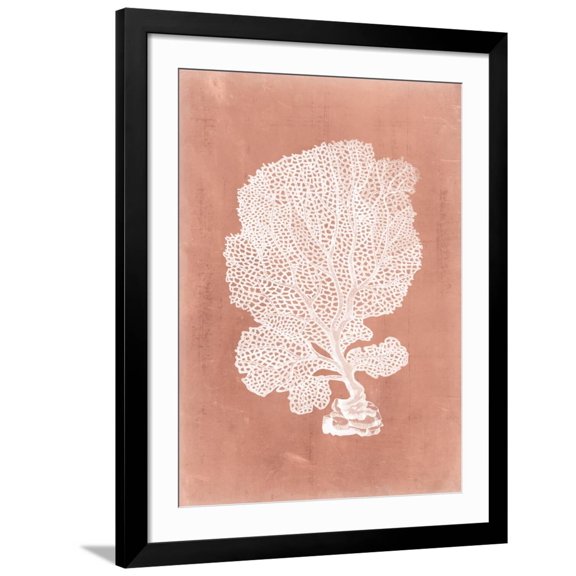 Art.com Sealife on Coral VIII Art Print by Vision Studio, Black Frame Wall Art, 32" x 40"