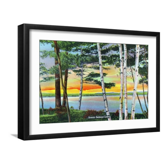 Art.com Sebago Lake, Maine - Scenic View Along the Lake with White Birches, c.1949 Art Print by Lantern Press, Black Frame Wall Art, 23" x 17"
