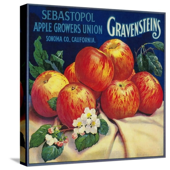 Art.com Sebastopol Gravensteins Apple Label - Sonoma, CA Stretched Canvas Print Wall Art by Lantern Press, 16" x 16"