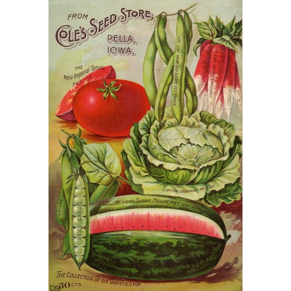 Art.com Seed Catalog Captions (2012): Cole’s Seed Store, Pella, Iowa, Garden, Farm and Flower Seeds, 1896 Art Print, 12" x 18"