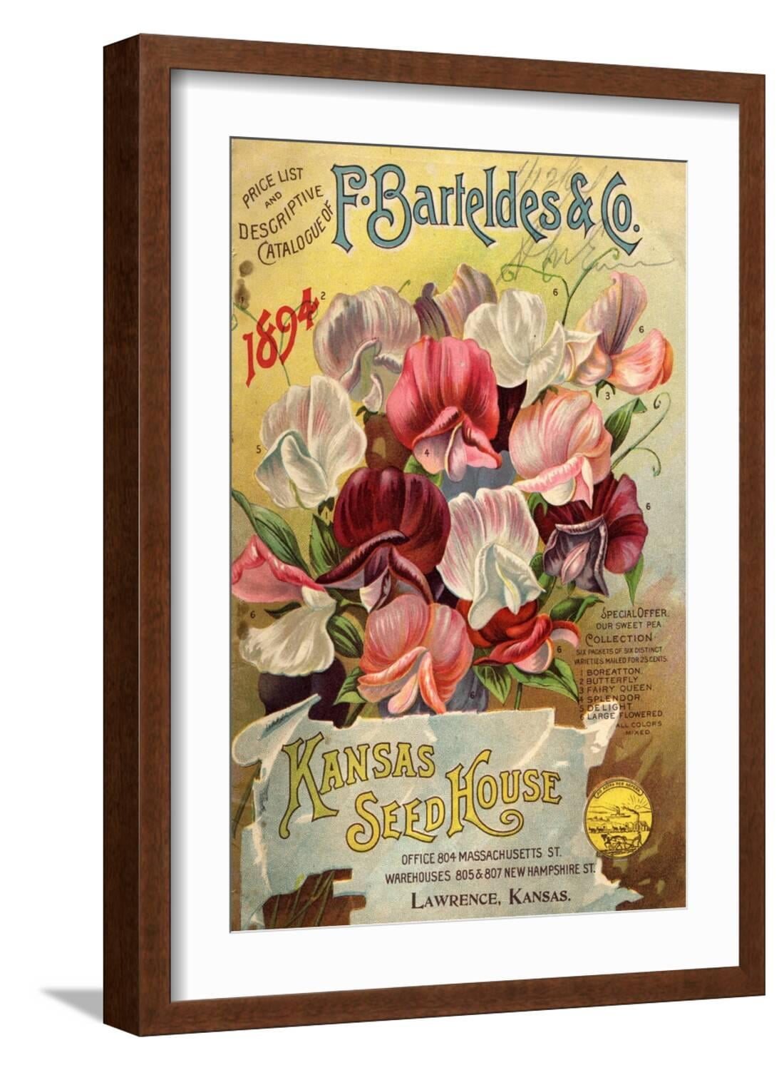 Seed Catalog Captions (2012) F. Barteldes and Co. Price List and Descriptive Catalogue