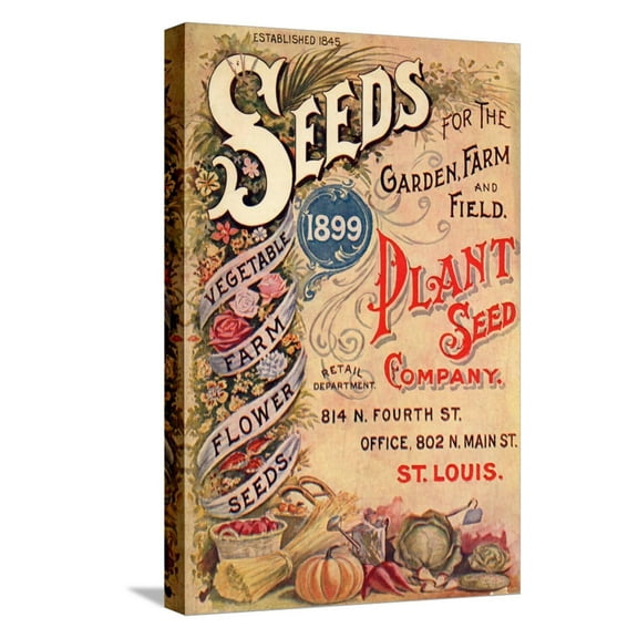 Art.com Seed Catalog Captions (2012): Plant Seed Company, St. Louis, Missouri Stretched Canvas Print Wall Art, 12" x 18"