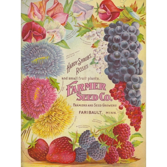 Art.com Seed Catalogues: Farmer Seed Co. Farm and Garden Seeds, Spring 1906 Art Print, 12" x 16"