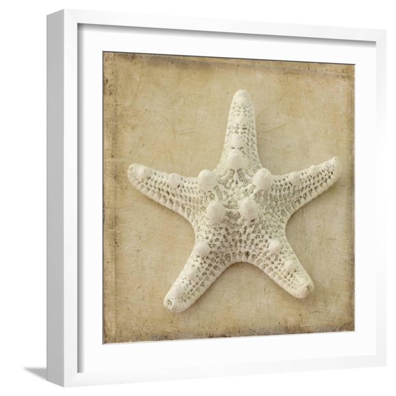 Art.com Sepia Shell I Art Print by Judy Stalus, White Frame Wall Art, 21" x 21"