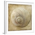 thumbnail image 1 of Art.com Sepia Shell VI Art Print by Judy Stalus, White Frame Wall Art, 29" x 29", 1 of 5