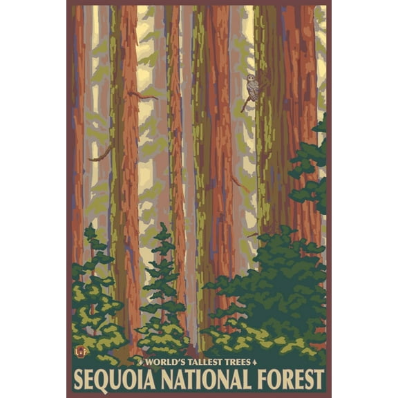 Art.com Sequoia National Forest, CA Redwood Trees Art Print by Lantern Press, 12" x 18"