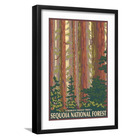 Art.com Sequoia National Forest, CA Redwood Trees Art Print by Lantern Press, Black Frame Wall Art, 17" x 23"