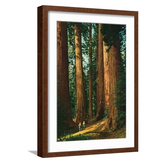 Art.com Sequoia Trees, California Art Print, Brown Frame Wall Art, 17" x 23"