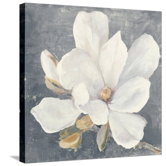 Art.com Serene Magnolia Gray Stretched Canvas Print Wall Art by Julia Purinton, 24" x 24"