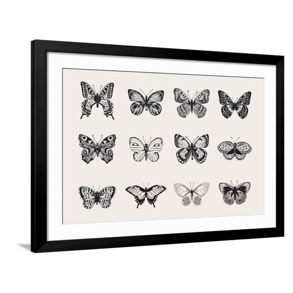 Art.com Set of Butterflies. Vector Vintage Classic Illustration. Black and White Art Print by Olga Korneeva, Black Frame Wall Art, 44" x 32"
