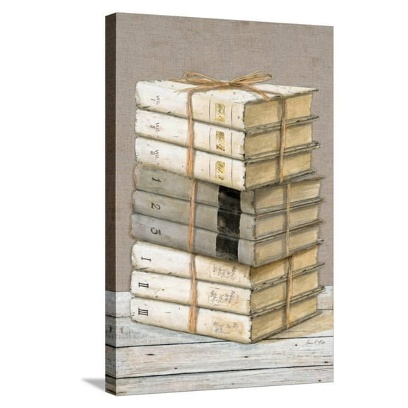 Art.com Shabby Chic Books Stretched Canvas Print Wall Art, 16" x 24"