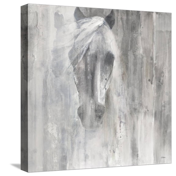 Art.com Shadow Gray Stretched Canvas Print Wall Art by Albena Hristova, 16" x 16"