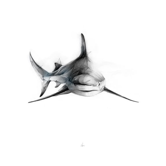 Art.com Shark 2 Art Print by Alexis Marcou, 18" x 24"