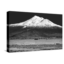 Art.com Shasta County Spring BW Stretched Canvas Print Wall Art by Douglas Taylor, 18" x 12"