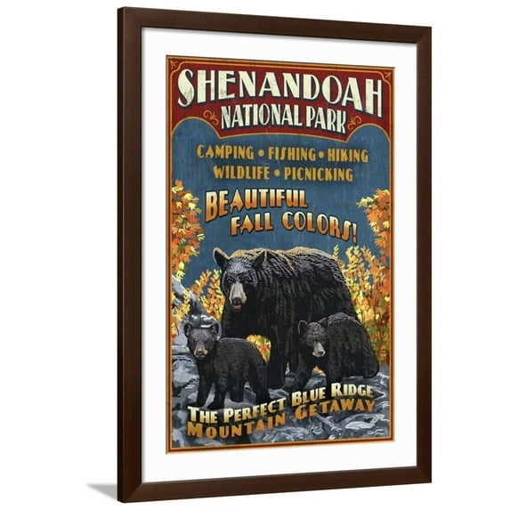 Art.com Shenandoah National Park, Virginia - Bear and Cubs Art Print by Lantern Press, Brown Frame Wall Art, 32" x 44"