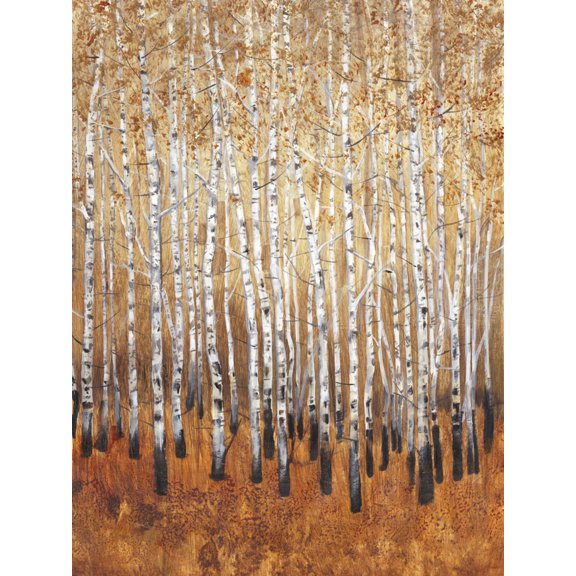 Art.com Sienna Birches I Art Print by Tim OToole, 12" x 16"