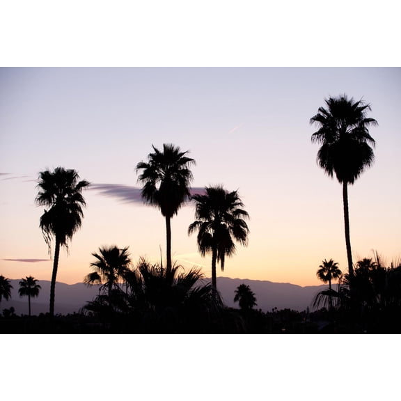 Art.com Silhouette of Palm Trees at Dusk, Palm Springs, Riverside County, California, USA Photographic Print, 18" x 12"