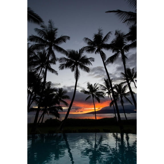 Art.com Silhouette of palm trees at dusk, Lahaina, Maui, Hawaii, USA Photographic Print, 12" x 18"