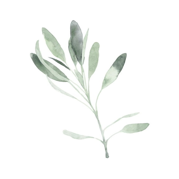 Art.com Simple Sage II Art Print by Emma Scarvey, 12" x 16"