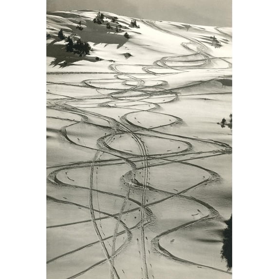 Art.com Ski Trails in Snow Art Print, 16" x 24"