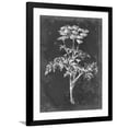thumbnail image 1 of Art.com Slate Floral II Art Print by Ethan Harper, Black Frame Wall Art, 32" x 40", 1 of 5