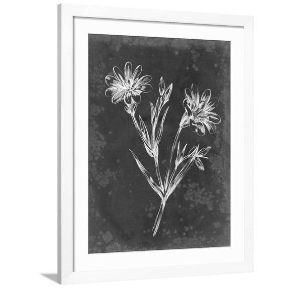 Art.com Slate Floral IV Art Print by Ethan Harper, White Frame Wall Art, 32" x 40"