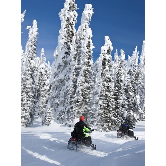 Art.com Snowmobilers Riding Through a Forest of Hoar Frosted Trees on Two Top Mountain, West Yellowstone, M Photographic Print by Kimberly Walker, 12" x 16"