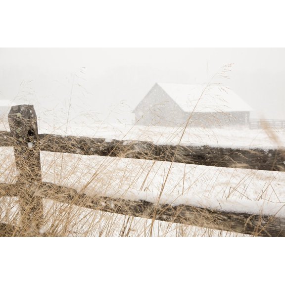 Art.com Snowy Day Art Print, 18" x 12"