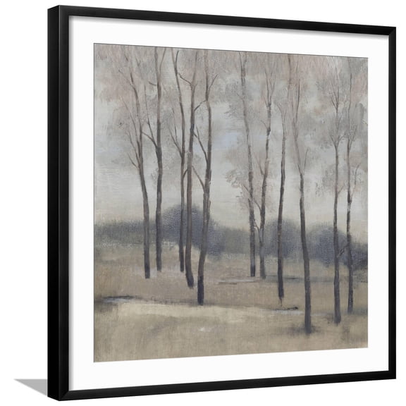 Art.com Soft Light II Art Print by Tim OToole, Black Frame Wall Art, 29" x 29"