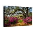 thumbnail image 1 of Art.com South Carolina Spring Flowers Charleston SC Lowcountry Scenic Nature Landscape with Blooming Pink A Stretched Canvas Print Wall Art by Dave Allen Photography, 18" x 12", 1 of 4