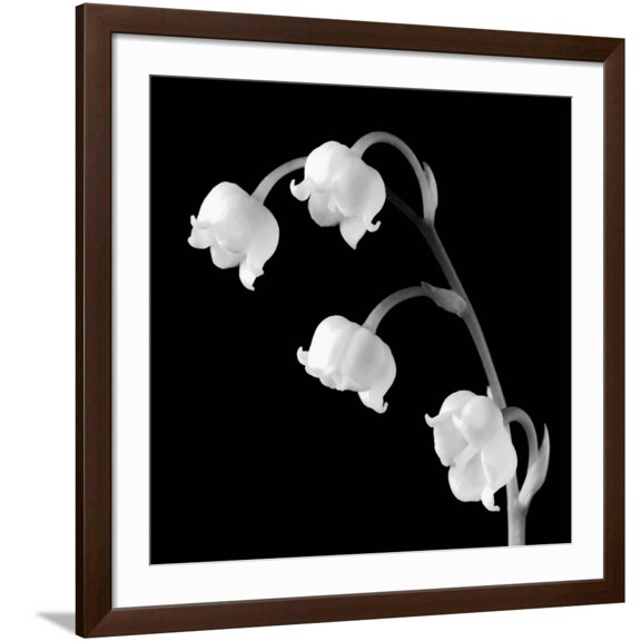 Art.com Spring Bells I Art Print by Michael Faragher, Brown Frame Wall Art, 38" x 38"
