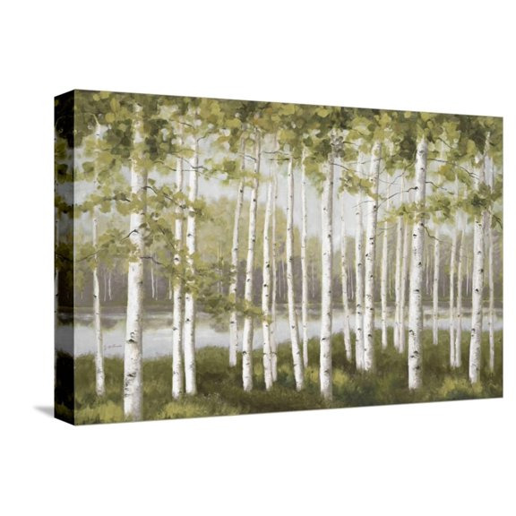 Art.com Spring Birch Tree Grove Stretched Canvas Print Wall Art by Jill Schultz McGannon, 18" x 12"