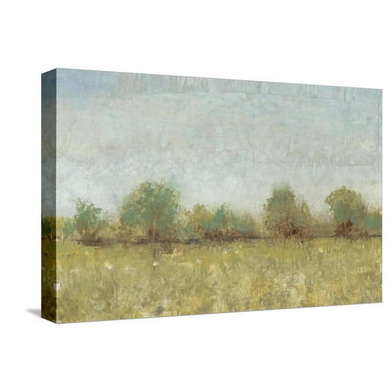 Art.com Spring Field I Stretched Canvas Print Wall Art by Tim OToole, 18" x 12"