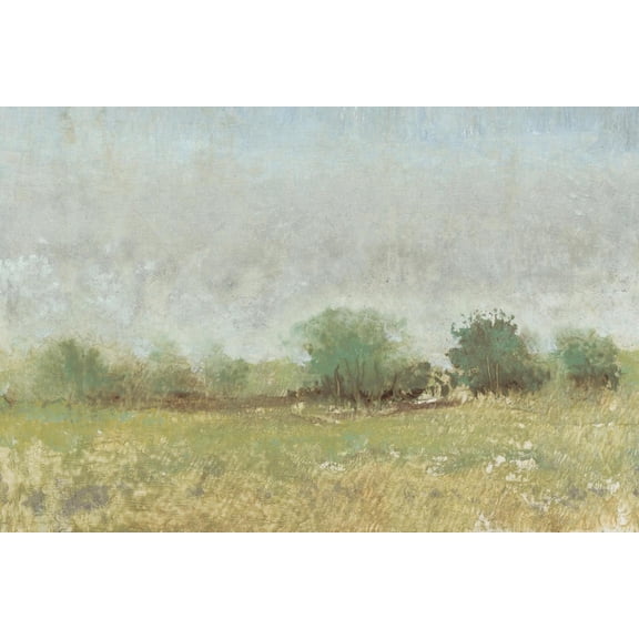 Art.com Spring Field II Art Print by Tim OToole, 24" x 16"