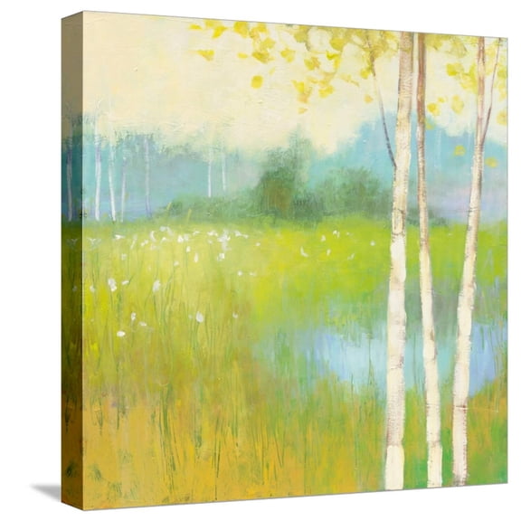 Art.com Spring Fling II Stretched Canvas Print Wall Art by Julia Purinton, 16" x 16"