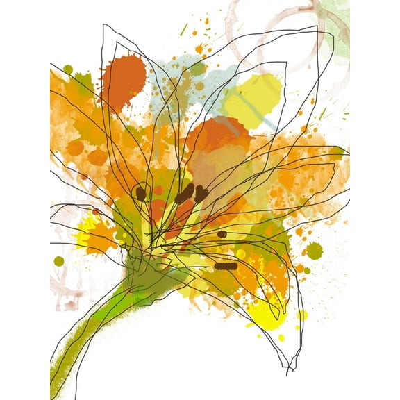 Art.com Spring Mix Art Print by Jan Weiss, 12" x 16"