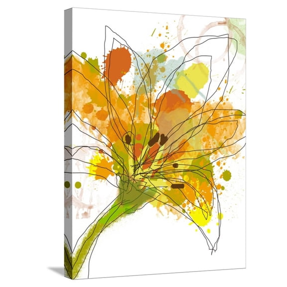 Art.com Spring Mix Stretched Canvas Print Wall Art by Jan Weiss, 18" x 24"