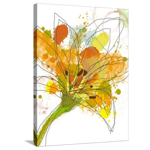 Art.com Spring Mix Stretched Canvas Print Wall Art by Jan Weiss, 24" x 32"