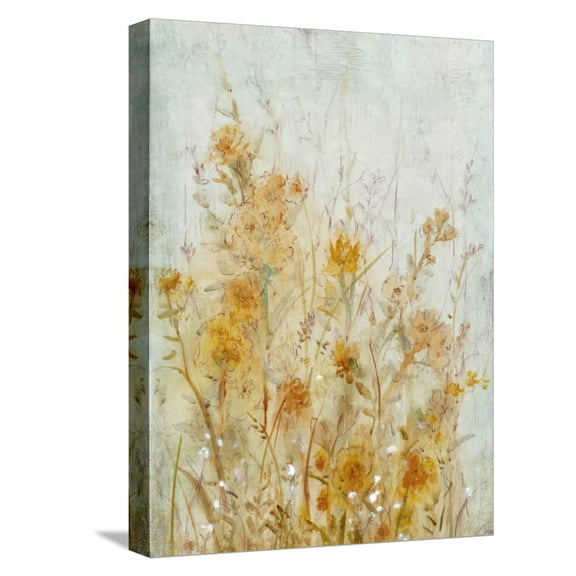 Art.com Spring Time I Stretched Canvas Print Wall Art by Tim O'toole, 12" x 16"
